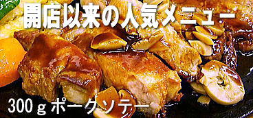 �|�[�N�\�e�[300��